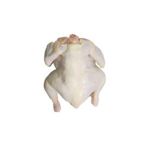 Chicken (Whole)